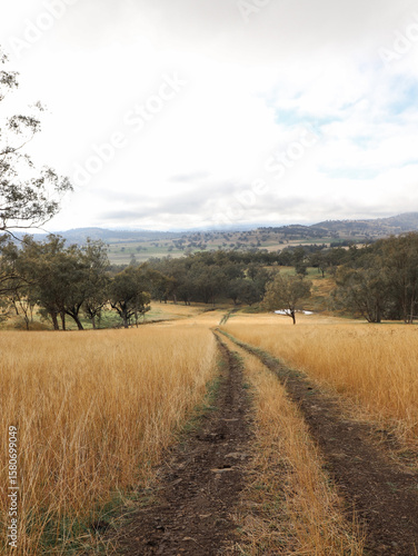country road in autumn