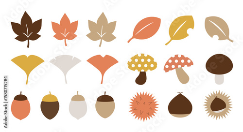 秋の自然モチーフを描いたシンプルなイラストセット（落ち葉 きのこ 紅葉 木の実 装飾素材）
