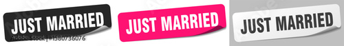 just married sticker. just married sticker set on white background