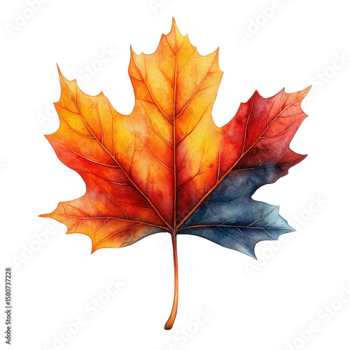 Wallpaper Mural Autumnal plane leaf in watercolor style isolated on transparent background. Torontodigital.ca
