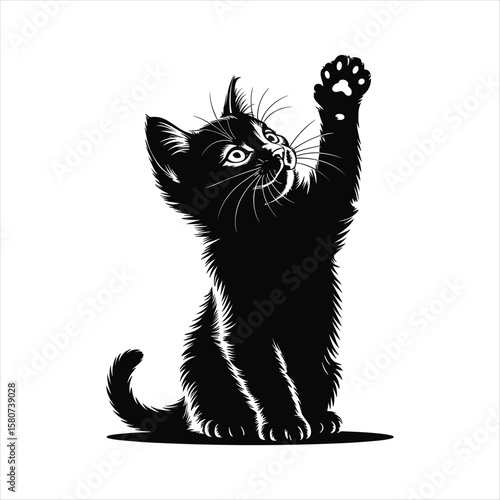 Black kitten silhouette raising paw with wide eyes looking up vector