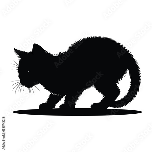 Black cat silhouette crouching low on white background with shadow kitten animal