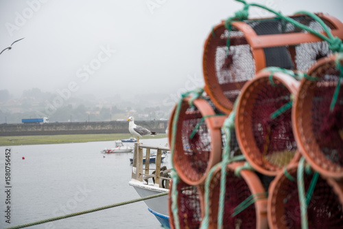 Fototapeta Naklejka Na Ścianę i Meble -  Octupus traditional fishing cage. These traditional cages, called nasa in Spanish, are used to capture octupus, one of the most important seafood in Galicia.