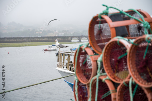 Fototapeta Naklejka Na Ścianę i Meble -  Octupus traditional fishing cage. These traditional cages, called nasa in Spanish, are used to capture octupus, one of the most important seafood in Galicia.