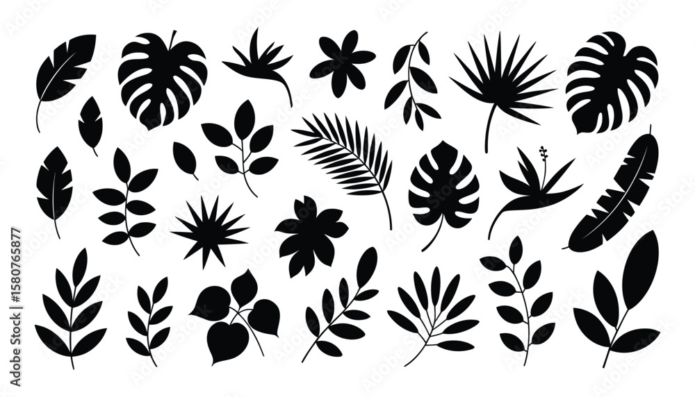 Vector Collection of Tropical Plant Leaf Silhouettes for Nature Design and Botanical Decoration Isolated on White Background Vector Collection of Tropical Plant Leaf Silhouettes for Nature Design and Botanical Decoration Isolated on White Background