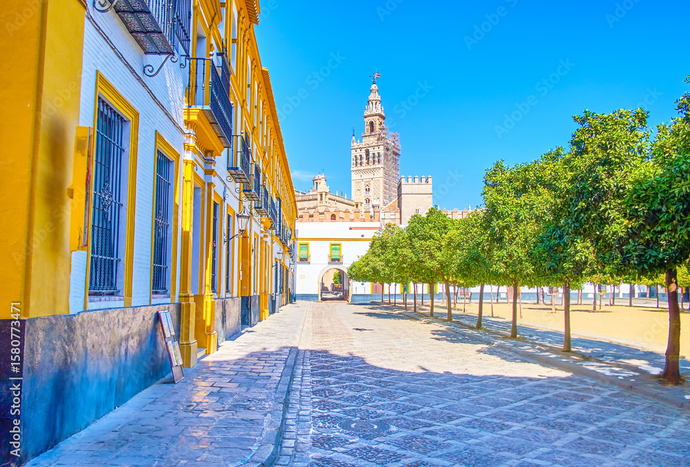 Fototapeta premium Patio de Banderas in Seville, Spain