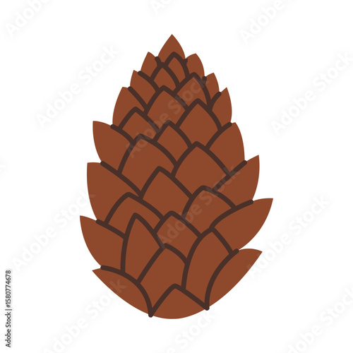 Pine cone. Element of autumn forest. Vector illustrations.