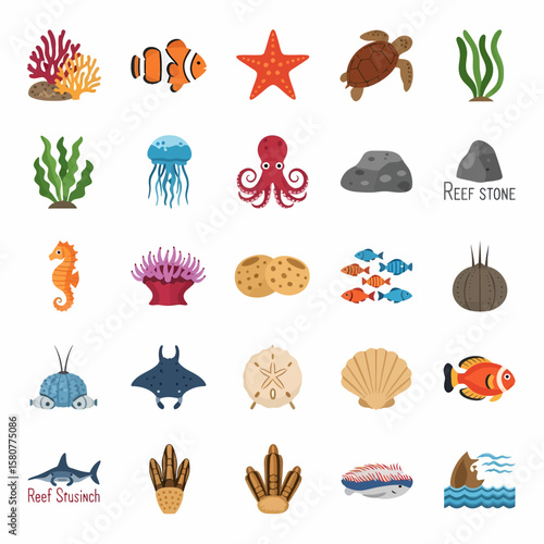 A collection of diverse marine life and ocean elements presented in a flat, illustrative style.