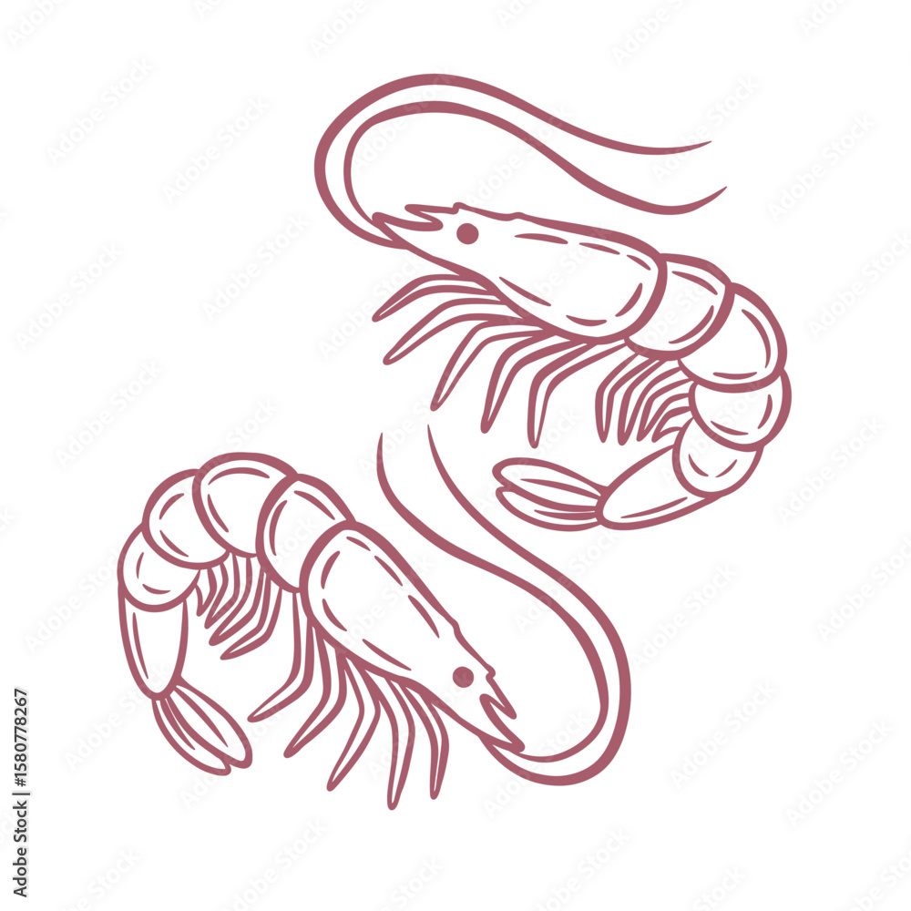 Fototapeta premium Red hand-drawn shrimp illustration. Elegant seafood element perfect for restaurant menus, culinary branding, packaging, and ocean-themed designs.