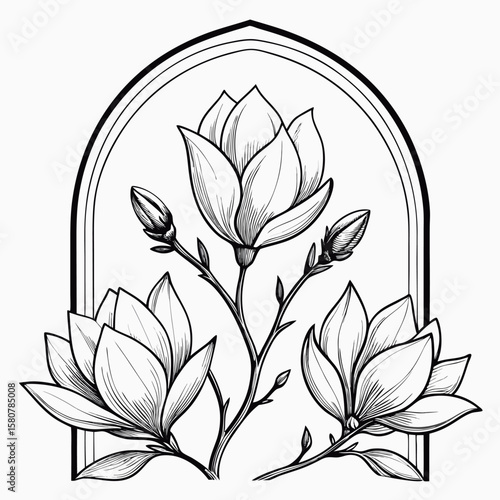 Elegant sketched magnolia flowers framed within a decorative archway design