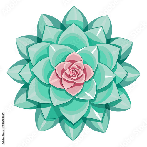 Delicate succulent rosette with soft petals on a clean white background