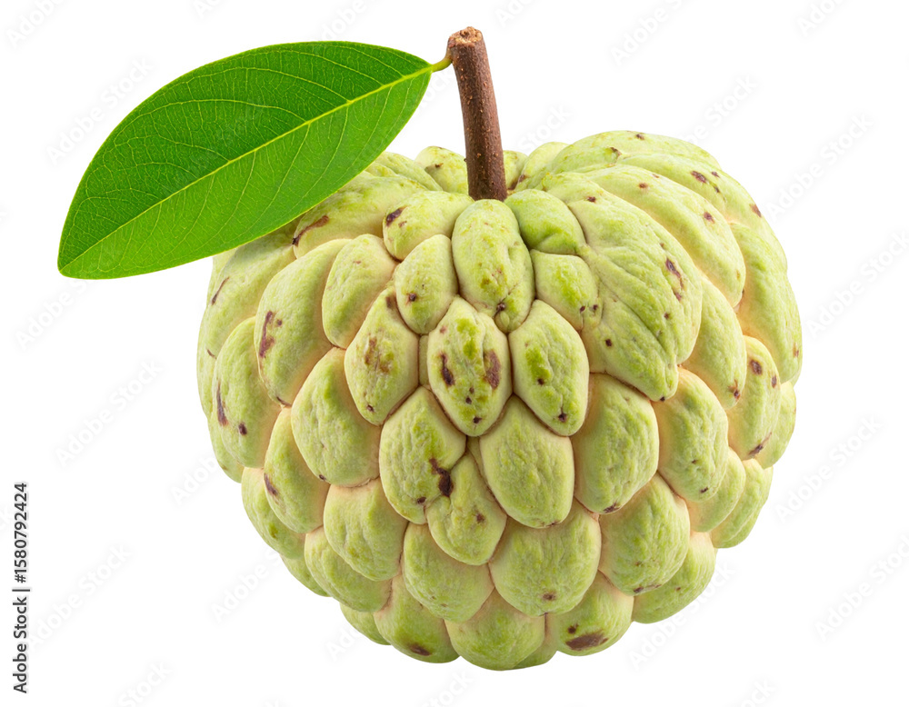 Fototapeta premium Close-Up of Whole Ripe Sugar Apple with Attached Green Leaf, Centered Studio Lighting, Transparent Background