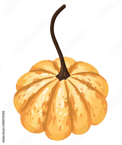 Hand-drawn autumn pumpkin. Vector.