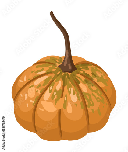 Hand-drawn autumn pumpkin. Vector.