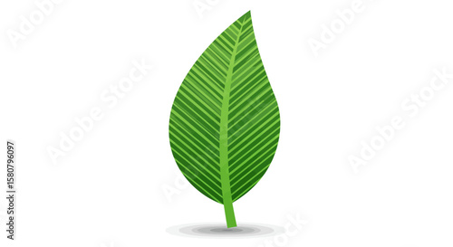 Green Leaf Icon Set: Nature and Ecology Symbols