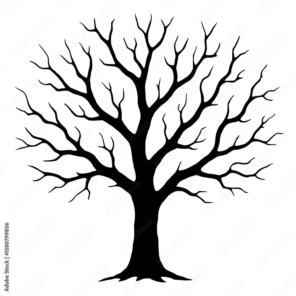 Fototapeta premium Artistic Silhouette of a Leafless Tree on a White Background