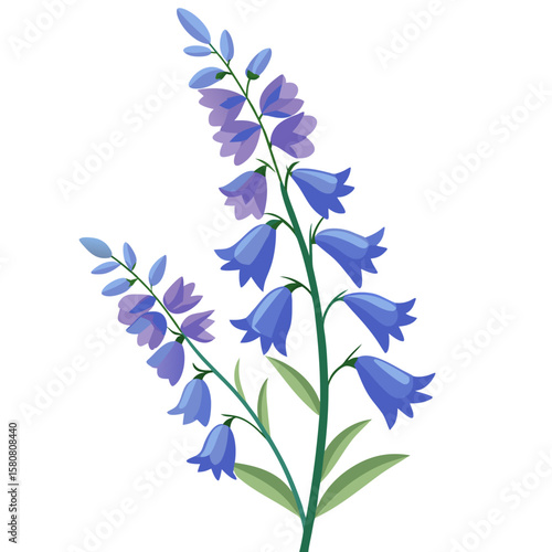 Elegant stem of delphinium flowers with delicate narrow petals in bloom