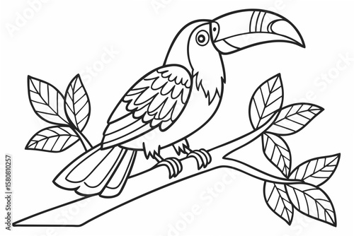 coloring page line art the toucan black vector