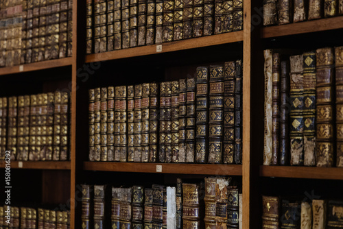 Rows of vintage leather-bound books with intricate details on wooden shelves in a historic library setting.