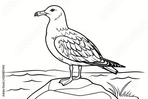 coloring page line art the seagull black vector