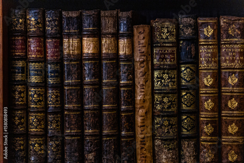 Detailed view of classic leather-bound books with ornate gold details, showcasing vintage charm in a cozy library.