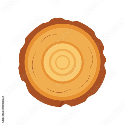 Pine Log Slice Illustration with Tight Grain Detail