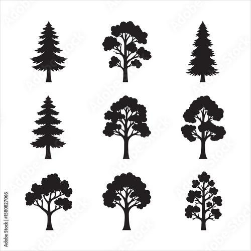 Collection of silhouetted trees featuring conifers and deciduous varieties