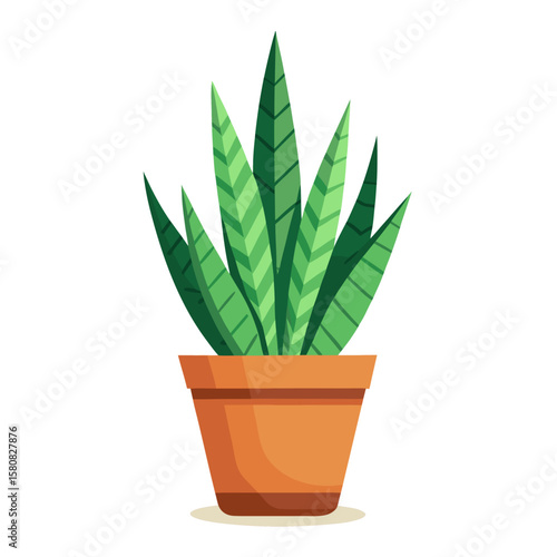 Flat vector illustration of a snake plant in a terracotta pot isolated on white background