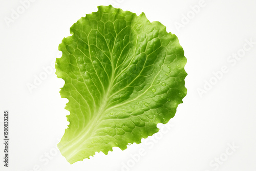 a single fresh lettuce leaf create with ai