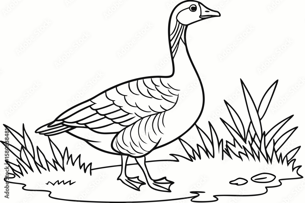 Fototapeta premium coloring page line art the goose black vector