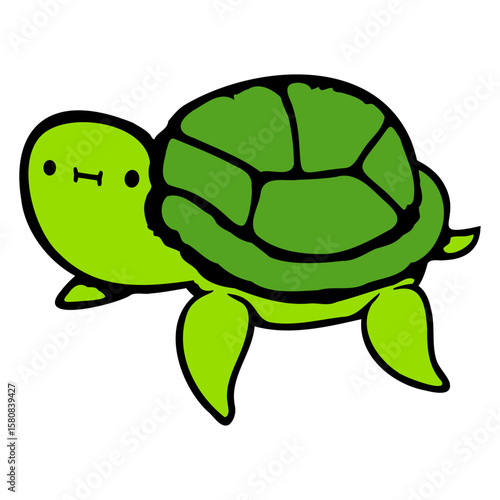 Water Turtle Cute Small Funny Happy Little Child