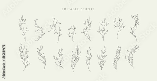 Set of detailed varios elegant branch with editable stroke. Hand drawn vector illustration, botanical elements for invitation, save the date