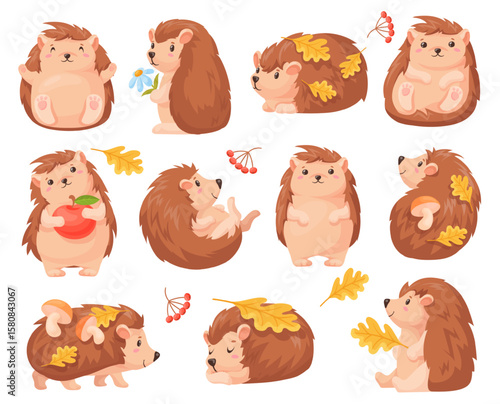 Cartoon autumn hedgehog. Cute hedgehogs fall forest animal character, baby urchin sleep funny wild animals with mushroom leaf woodland leaves, childish neat vector illustration