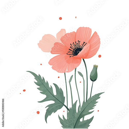 Poppy Blossom's Elegance: An illustration of a vibrant poppy flower, delicately rendered with exquisite detail, capturing the essence of its beauty and charm.