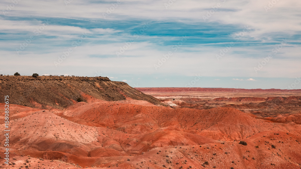 Fototapeta premium Red Deserts of Arizona