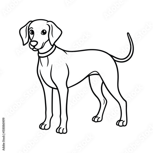 Black and white drawing of a standing beagle puppy canine animal