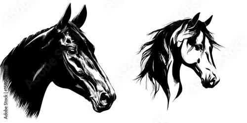 A modern black illustration design forms the basis of this image, which presents a detailed horse head profile in silhouette, symbolizing beauty, elegance, and majesty