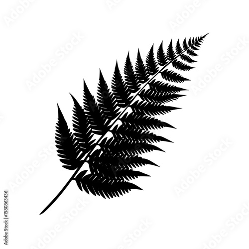 An isolated modern graphic illustration showcases the elegant silhouette of a black fern, delicately set against a white background in a botanical style