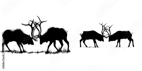 In a modern design, two bull elks with large antlers are shown fighting, their figures rendered in a striking black silhouette style