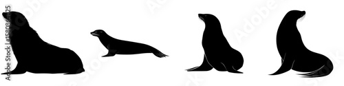 This image shows a sea lion in a black silhouette, characterized by its sleek and elegant appearance, and is also referred to as a pinniped or marine mammal, presented in a modern clipart