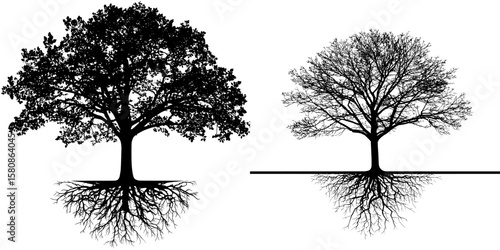 This image depicts a tree with extensive roots in a modern black silhouette style clipart illustration design