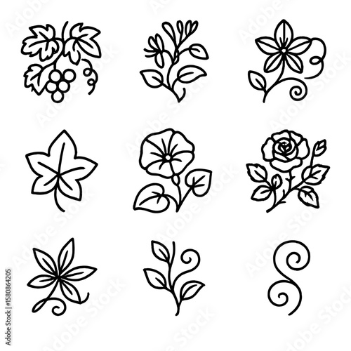 Vine creeper icon plants stem vector grapevine leaf clematis climbing ivy