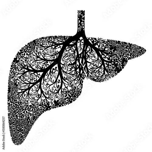 This image depicts a black silhouette of a human liver, an organ crucial for digestion and detoxification, presented in a modern clipart illustration style