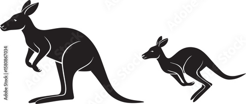 animal