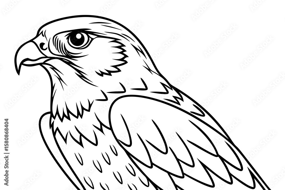 Fototapeta premium coloring page line art the falcon black vector
