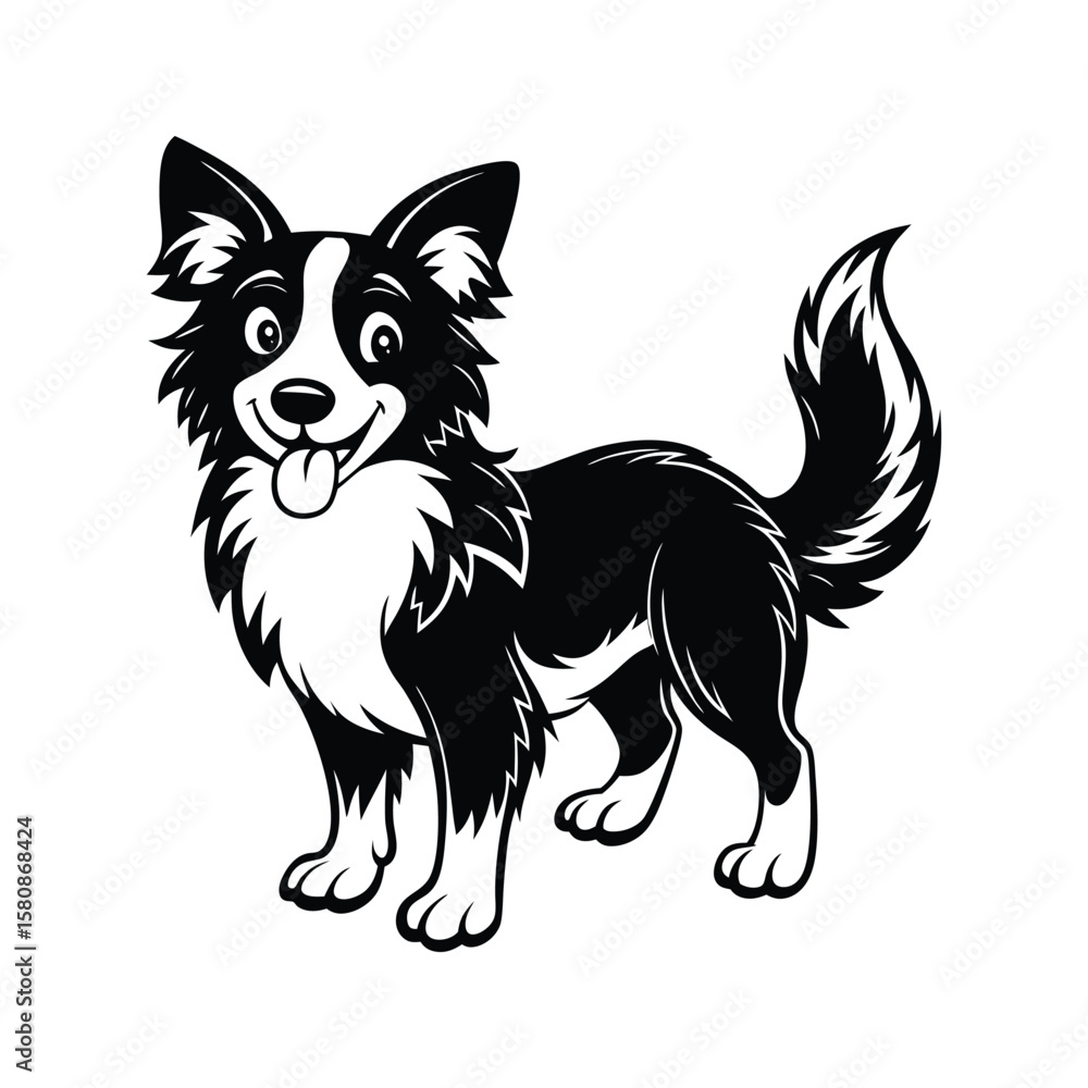 Naklejka premium Playful black and white border collie dog with fluffy tail canine animal