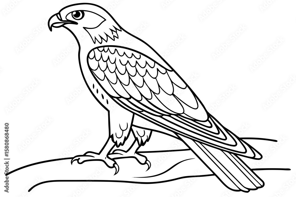 Fototapeta premium coloring page line art the falcon black vector