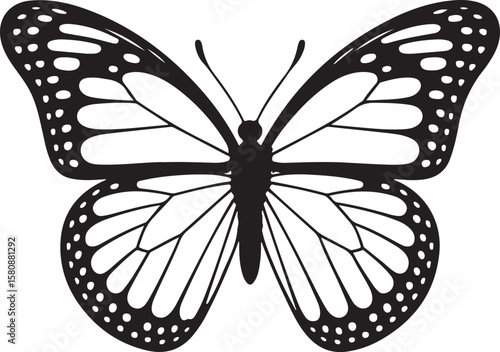 showcases a collection of butterfly silhouette