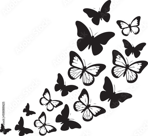 showcases a collection of butterfly silhouette