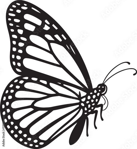 showcases a collection of butterfly silhouette